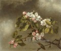 Hummingbird And Apple Blossoms flower painter Martin Johnson Heade